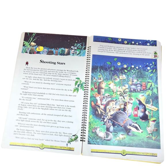 A Trip To Woodland A Suitcase Full Of Stories & Games by Jane & Sarah Brierley - Picture 4 of 12